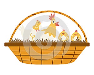 Cute cartoon clocking hen with three chickens ih a wicker basket.