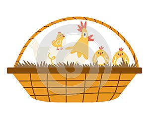 Cute cartoon clocking hen with three chickens ih a wicker basket. photo