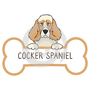 Cute cartoon Cocker Spaniel on collar dog tag vector clipart. Purebred doggy identification medal for pet id. Domestic