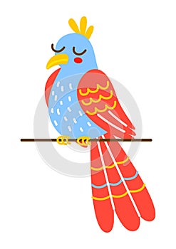 Cute cartoon colour parrot isolated on white