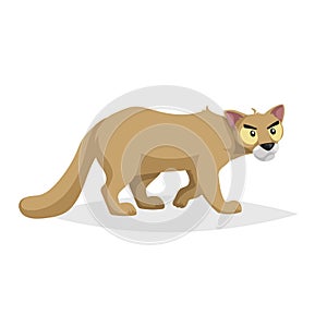 Cute cartoon cougar. Wild animal. Vector illustration for child books. Danger predator animal.