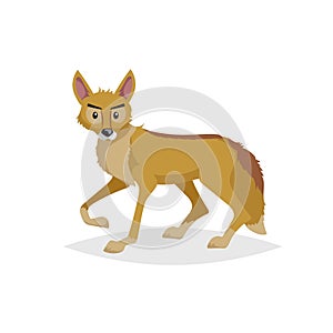 Cute cartoon coyote. Wild animal. Vector illustration for child books. Danger predator animal.