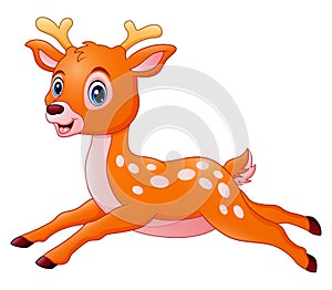 Cute cartoon deer running