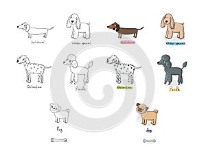 Cute cartoon dog breeds. Happy animals. Vector illustration