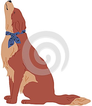 Cute cartoon dog with ginger fur sitting and smiling. Pet friend, human companion with collar.