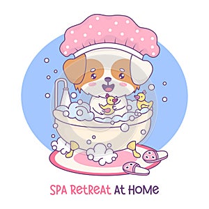 Cute cartoon dog wearing pink shower cap is sitting in sudsy bathtub is playing with yellow rubber duckies. Adorable kawaii pet