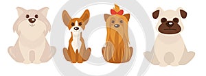 Cute Cartoon Dogs Vector Compilation
