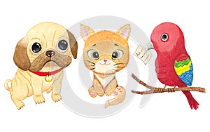 Cute cartoon domestic animals, pets. Cat, dog, parrot. watercolor art