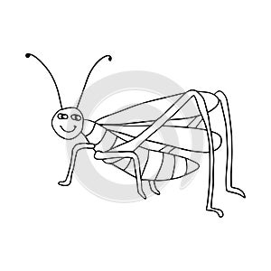 Cute cartoon doodle happy Grasshopper isolated