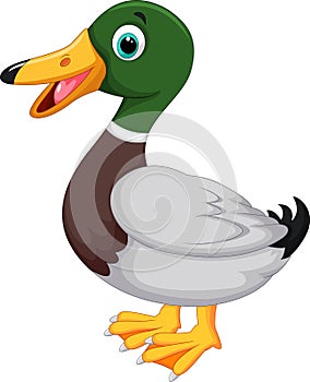 Cute cartoon duck