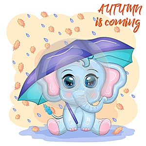 Cute cartoon elephant, childish character with beautiful eyes with umbrella, autumn