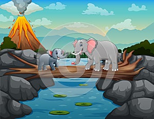 Cute cartoon elephant with her cubs crossing
