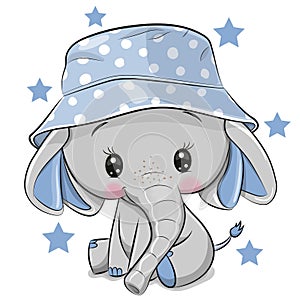 Cute Elephant in panama hat isolated on a white background photo