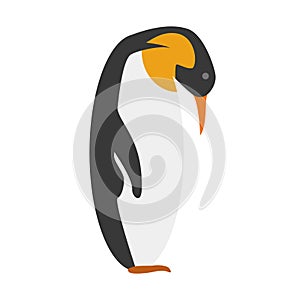 Cute cartoon Emperor penguin vector illustration