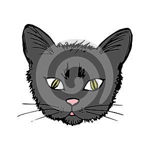 Cute cartoon face of a dark gray, black cat with yellow-green eyes isolated on a white background.