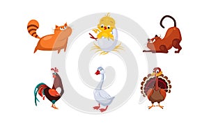 Cute cartoon farm animals and pets set, cats, cock, chicken, turkey, goose vector Illustration