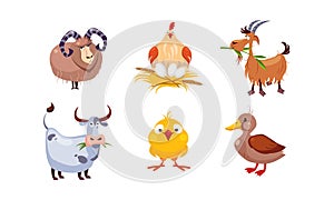 Cute cartoon farm animals set, sheep, hen, goat, cow, duck, vector Illustration