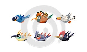 Cute cartoon flying birds set, funny colorful birds vector Illustration on a white background