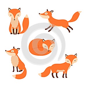 Cute cartoon fox. Forest foxes, red animals with fluffy tails. Flat foxy character running or standing.
