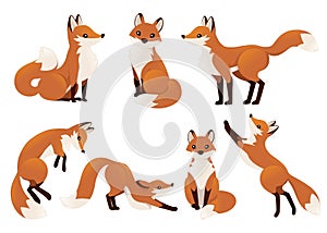 Cute cartoon fox set. Funny red fox collection. Emotion little animal. Cartoon animal character design. Flat vector illustration