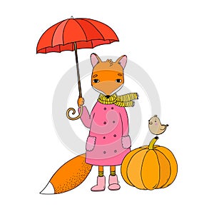 Cute cartoon fox under an umbrella and a small bird on a pumpkin.