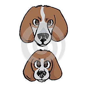 Cute cartoon foxhound puppy and adult hunting dog face vector clipart. Pedigree kennel baby doggie breed for dog lovers