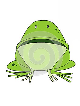 Cute cartoon, frog  animal illustration  white background