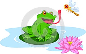 Cute cartoon frog catching dragonfly