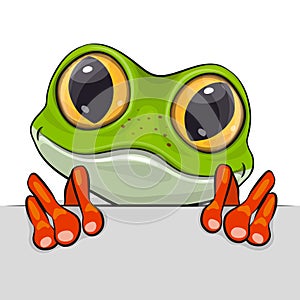 Cute Cartoon Frog on a white background