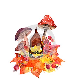 Cute cartoon gnome with maple leaf on bunch of fall autumn leaves and mushrooms. Natural seasonal card design