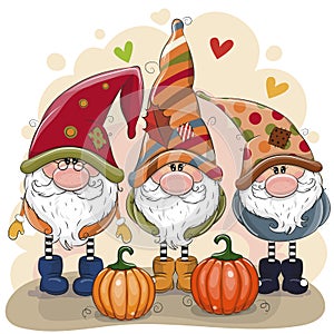 Cute Cartoon Gnomes with two pumpkins photo