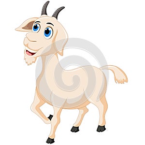 Cute Cartoon goat