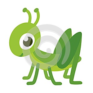 Cute cartoon grasshopper