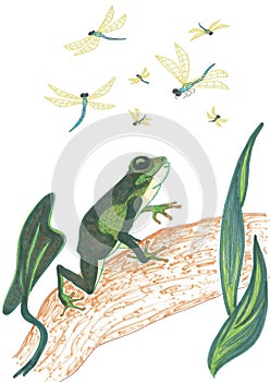 Cute cartoon green frog preys on flying blue dragonflies