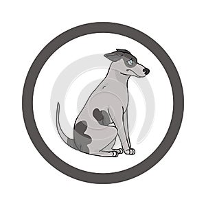 Cute cartoon Greyhound in dotty circle dog vector clipart. Pedigree kennel doggie breed for kennel club. Purebred