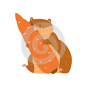 Cute cartoon hamster character eating carrot, funny brown rodent animal pet vector Illustration on a white background