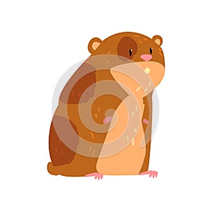 Cute cartoon hamster character, funny brown rodent animal pet vector Illustration on a white background