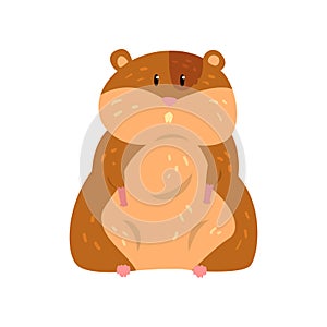 Cute cartoon hamster character sitting, funny brown rodent animal pet vector Illustration on a white background