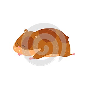 Cute cartoon hamster character sleeping, funny brown rodent animal pet vector Illustration on a white background