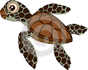 Cute cartoon hatchling of sea turtle on white background
