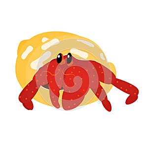 Cute cartoon hermit crab isolated on white background. Crab icon vector. Hand drawn childish vector illustration. Great for icon