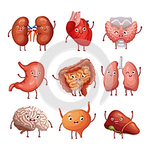 Cute cartoon human organs. Stomach, lungs and kidneys, brain and heart, liver. Funny inner organs vector anatomy