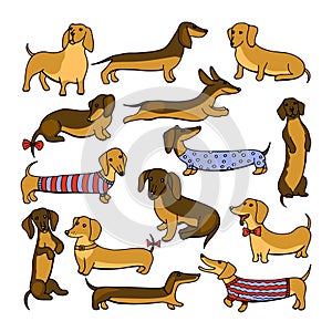 Set of dog dachshund illustrations photo