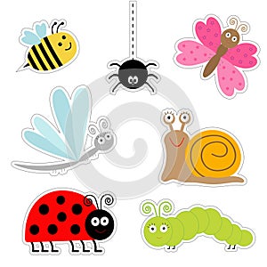Cute cartoon insect sticker set. Ladybug dragonfly butterfly caterpillar spider snail. . Flat design