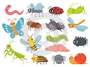 Cute cartoon insects. Funny caterpillar and butterfly, children bugs, mosquito and spider. Green grasshopper, ant and