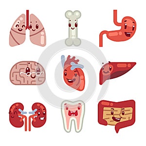 Cute cartoon internal organs vector icons