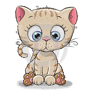 Cute Cartoon Kitten