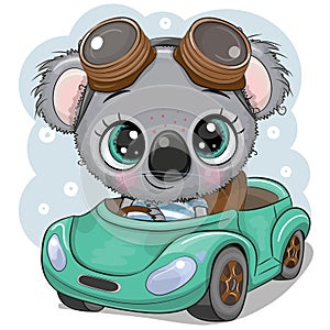 Cartoon Koala boy in glasses goes on a Green car photo