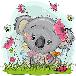 Cute Cartoon Koala on a meadow photo