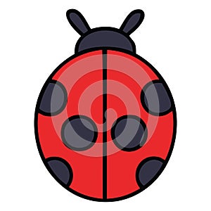 cute cartoon lady bug